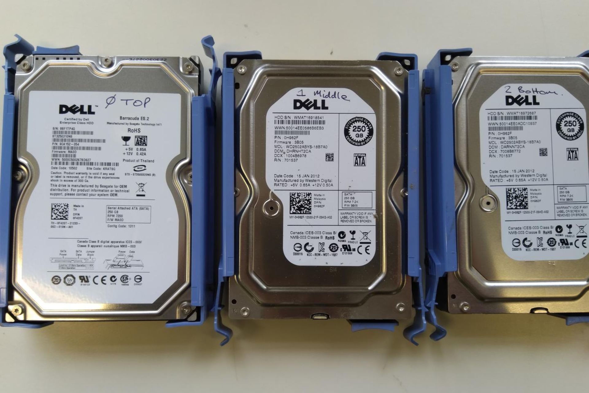 Data Recovery in New Zealand: What to Do When Your Drive, Phone or Server Dies